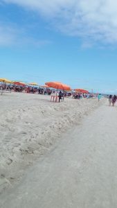 IMG_20221113_085920_549.jpg