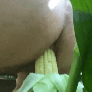 Screenshot_20241007-154532.png