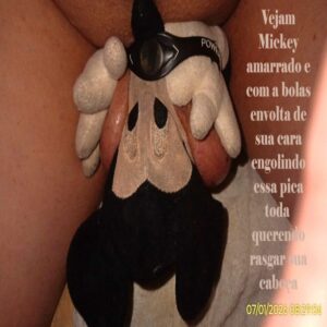 Mickey-amarrado.JPG