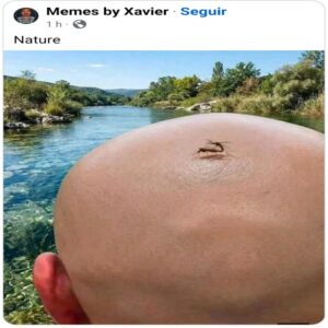 1000094487.jpg