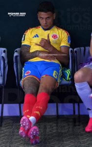 Gatos da Copa 1